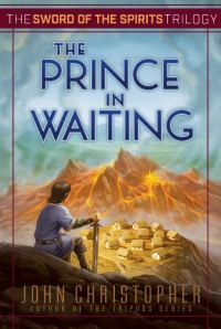 Обложка книги «The Prince in Waiting»