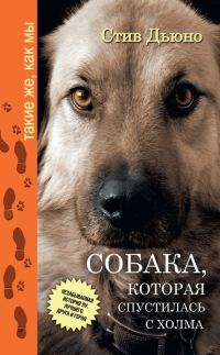 Обложка книги «Собака, которая спустилась с холма. Незабываемая история Лу, лучшего друга и героя»