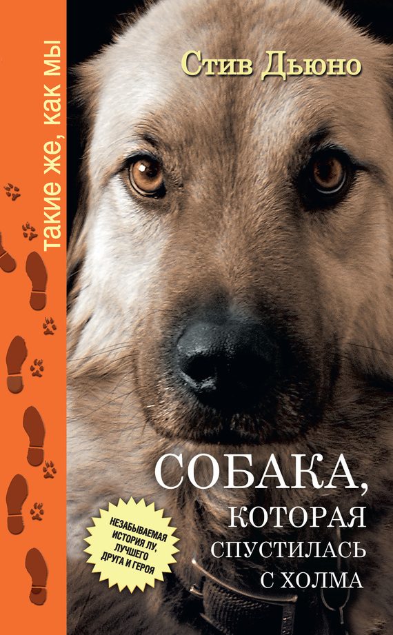 Обложка книги «Собака, которая спустилась с холма. Незабываемая история Лу, лучшего друга и героя»