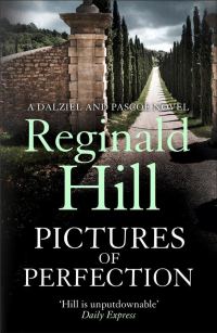 Обложка книги «Pictures of Perfection»