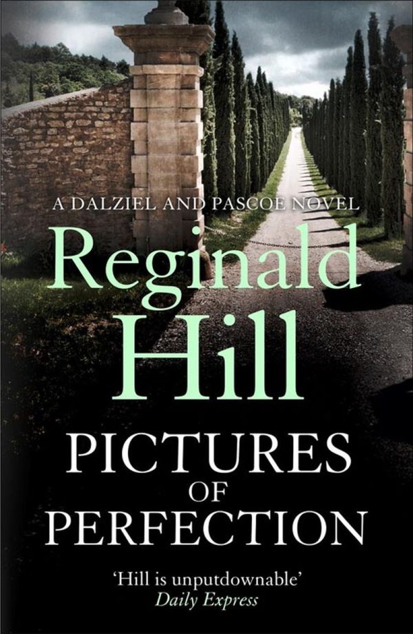 Обложка книги «Pictures of Perfection»