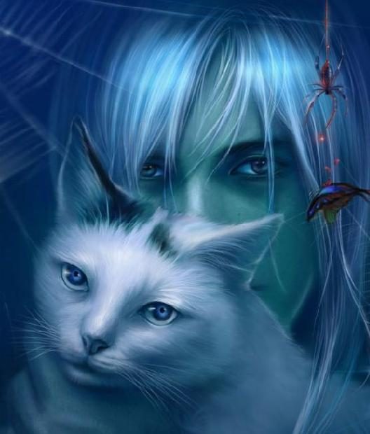 Обложка книги «Кошачий бум. Виня»