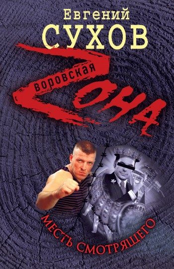 Обложка книги «Месть смотрящего»