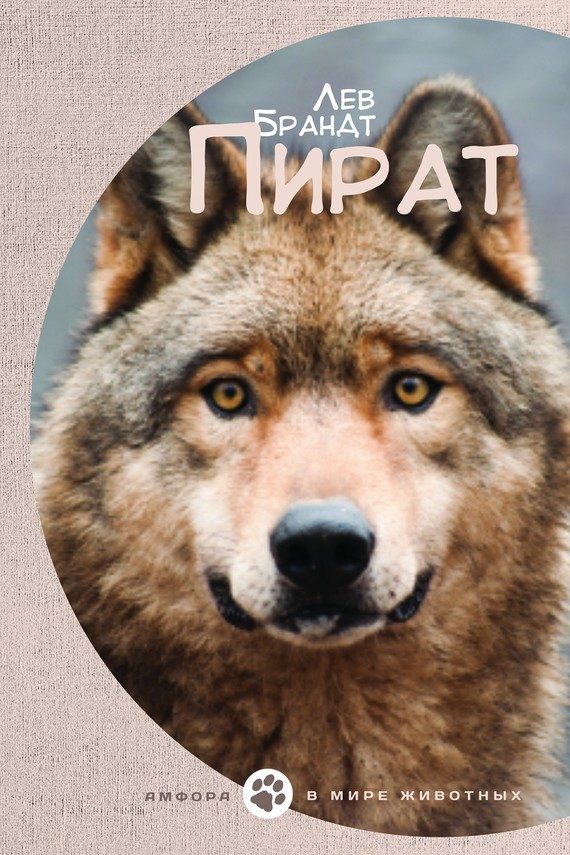 Обложка книги «Пират»