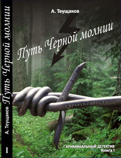 Обложка книги «Путь "Чёрной молнии"»