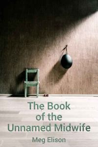 Обложка книги «The Book of the Unnamed Midwife»