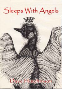 Обложка книги «Sleeps With Angels»