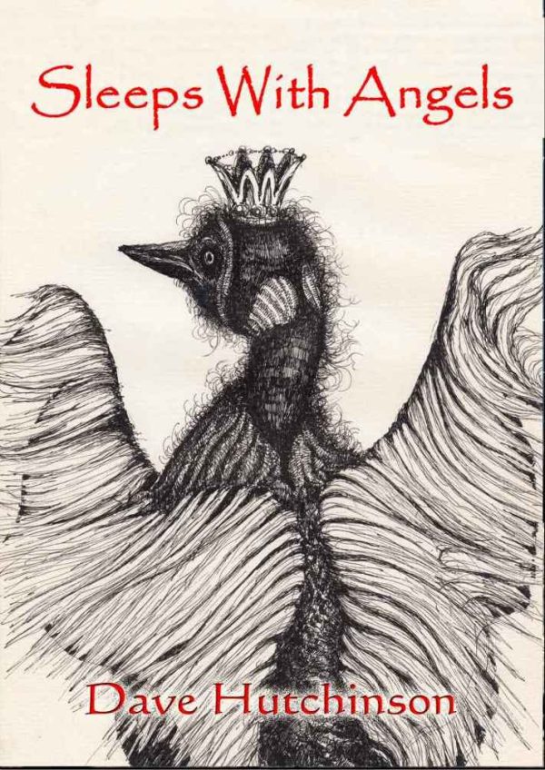 Обложка книги «Sleeps With Angels»