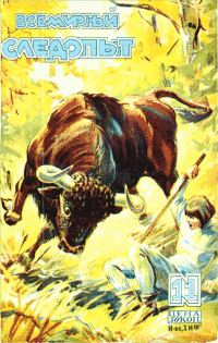 Обложка книги «Всемирный следопыт, 1929 № 11»