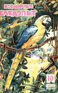 Обложка книги «Всемирный следопыт, 1929 № 10»