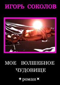 Обложка книги «Мое волшебное чудовище»