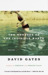 Обложка книги «The Wonders of the Invisible World»