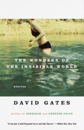 Обложка книги «The Wonders of the Invisible World»