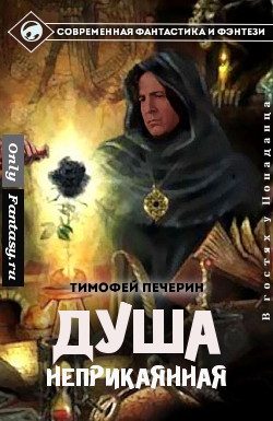 Обложка книги «Душа неприкаянная»