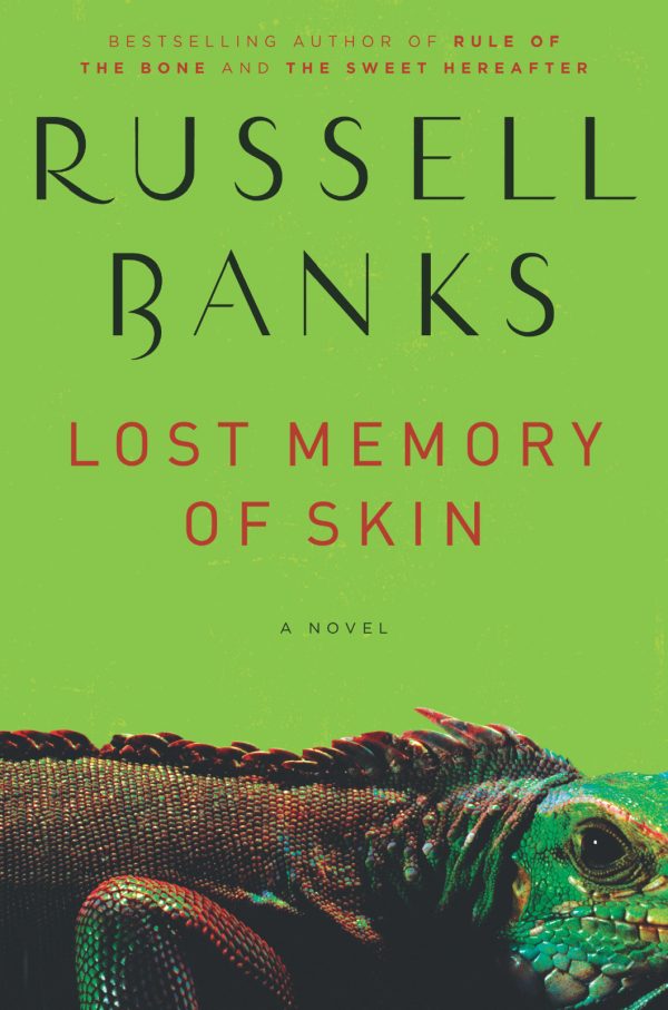 Обложка книги «Lost Memory of Skin»