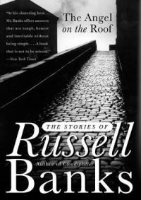 Обложка книги «The Angel on the Roof»
