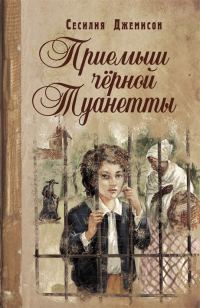 Обложка книги «Приемыш черной Туанетты»