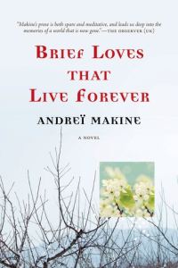 Обложка книги «Brief Loves That Live Forever»