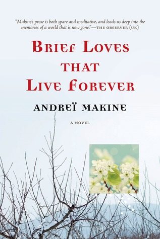 Обложка книги «Brief Loves That Live Forever»