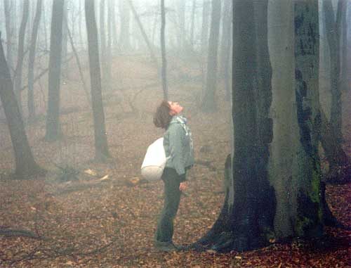 Обложка книги «Книга (Венок Сонетов).»
