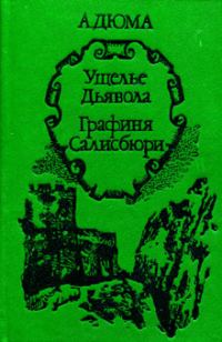 Обложка книги «Графиня Салисбюри»