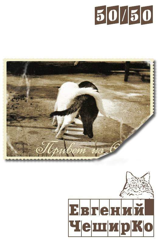 Обложка книги «50/50»