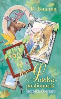 Обложка книги «Фомка-разбойник»