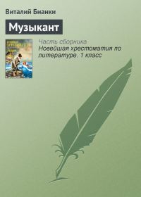 Обложка книги «Музыкант»