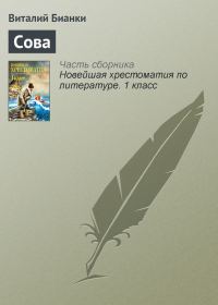 Обложка книги «Сова»