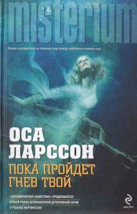 Обложка книги «Пока пройдёт гнев твой»