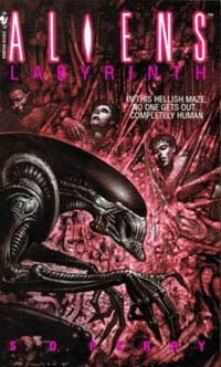 Обложка книги «Лабиринт»