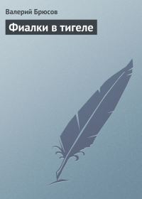 Обложка книги «Фиалки в тигеле»