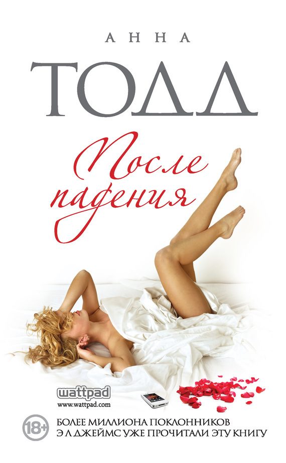 Обложка книги «После падения»