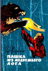 Обложка книги «Пашка из Медвежьего лога»