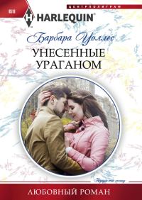 Обложка книги «Унесенные ураганом»