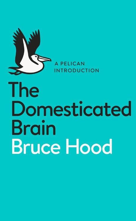 Обложка книги «The Domesticated Brain: A Pelican Introduction (Pelican Books)»