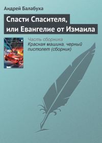 Обложка книги «Спасти Спасителя, или Евангелие от Измаила»