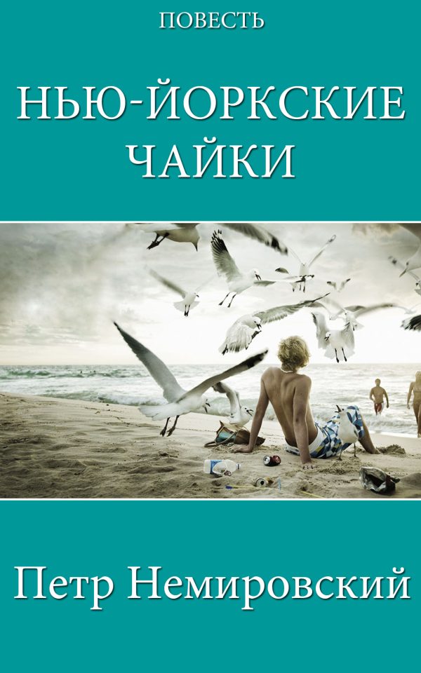 Обложка книги «Нью-Йоркские Чайки»