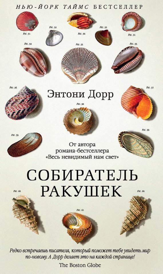 Обложка книги «Собиратель ракушек»