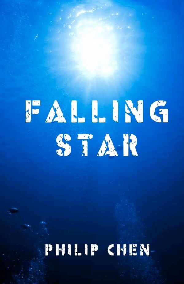 Обложка книги «Falling Star»