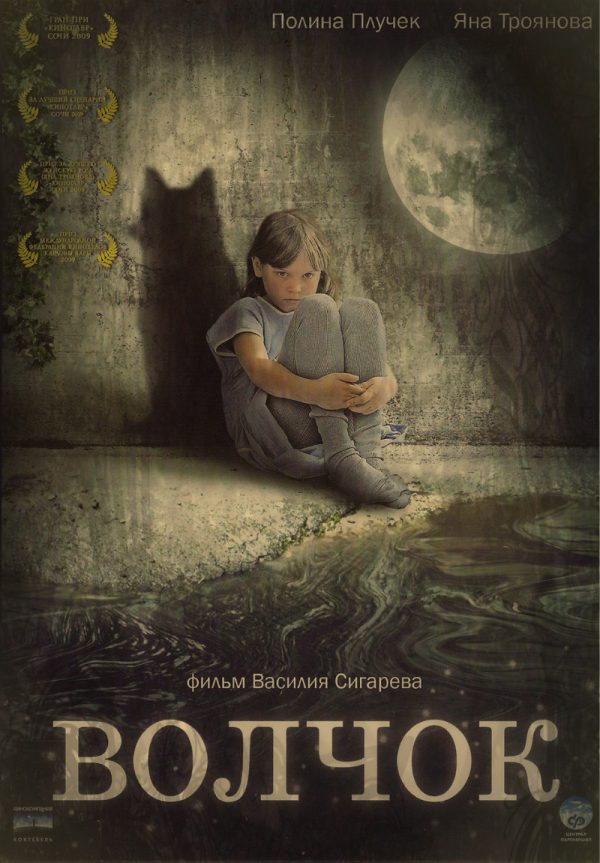 Обложка книги «Волчок»