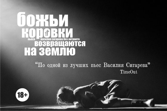 Обложка книги «Божьи коровки возвращаются на землю»