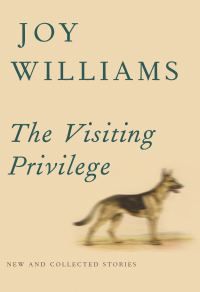 Обложка книги «The Visiting Privilege: New and Collected Stories»