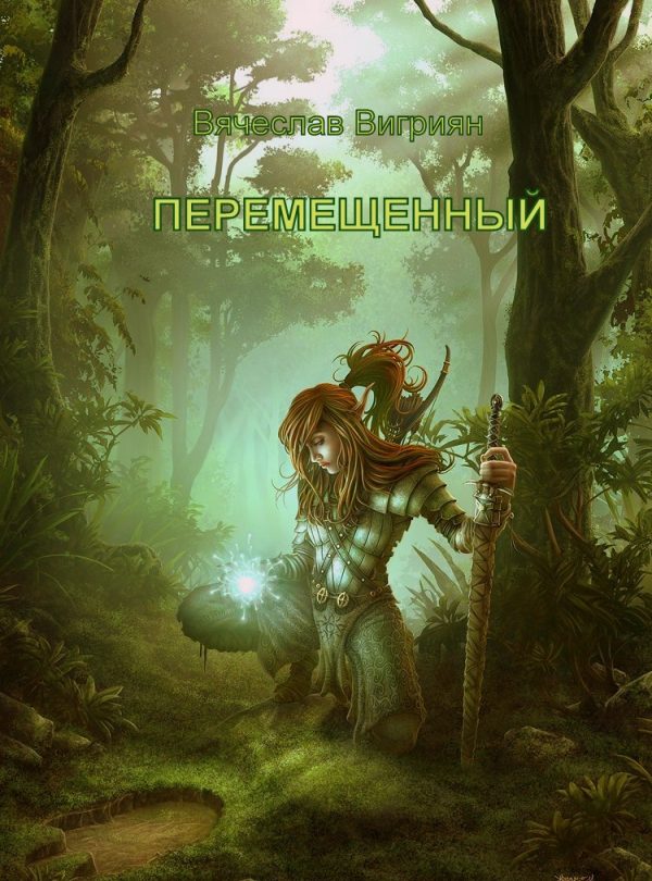 Обложка книги «Перемещенный»