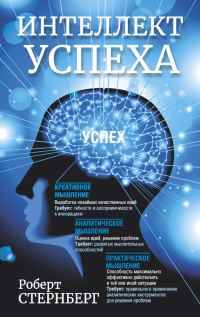 Обложка книги «Интеллект успеха»