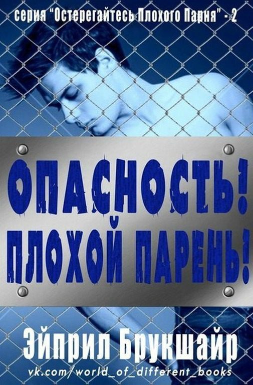 Обложка книги «Опасность! Плохой парень!»
