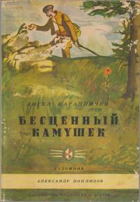 Обложка книги «Бесценный камушек»