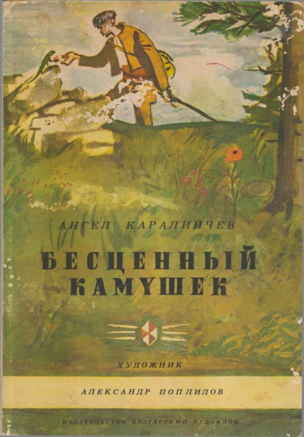 Обложка книги «Бесценный камушек»