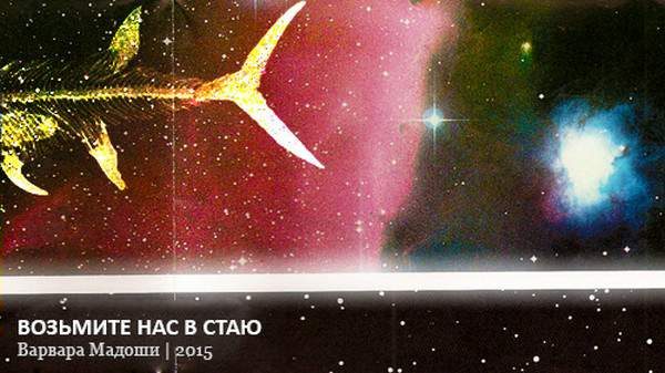 Обложка книги «Возьмите нас в стаю»