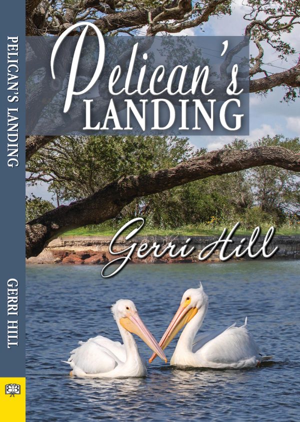 Обложка книги «Pelican's Landing»